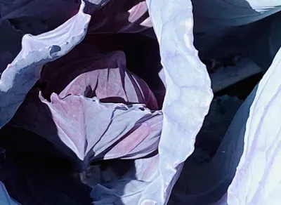 Unlocking the Secrets: Overcoming Service Access Denied with Effective Solutions