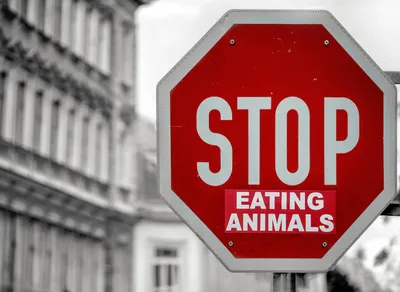 Unlock the Power of QR Codes: Effortlessly Send Text Messages with Scan and Tap