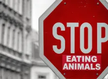 Unlock the Power of QR Codes: Effortlessly Send Text Messages with Scan and Tap